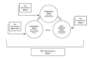 Fig1 - cyclical phase model self regulation