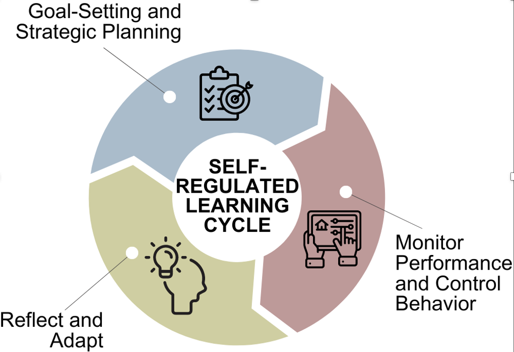 Self-regulated learning cycle